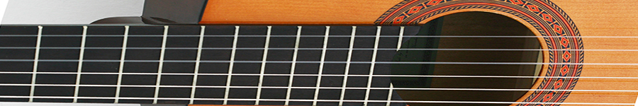 a slice of guitar